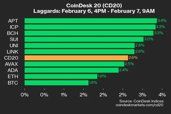 9am CoinDesk 20 Update for 2025-02-07: leaders chart